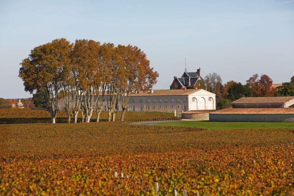 Weingut Mouton Rothschild