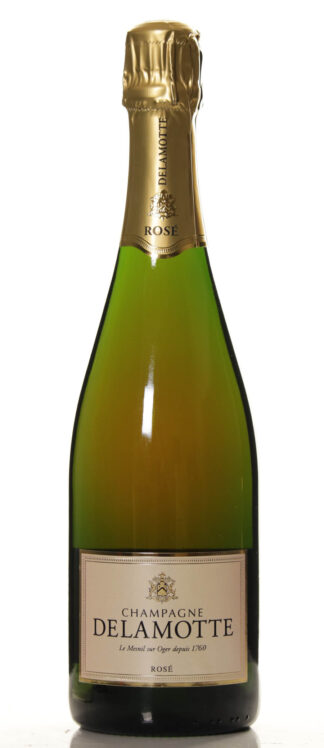 delamotte rose